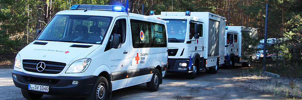 Mehrere Einsatzfahrzeuge fahren mit Blaulicht im Konvoi