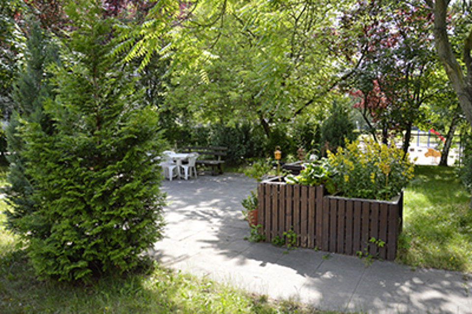 Weg im Garten umsäumt von grünem Gebüsch